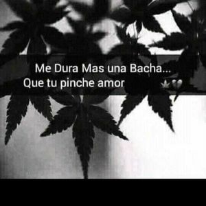 Meet your Posher, Francisco javier